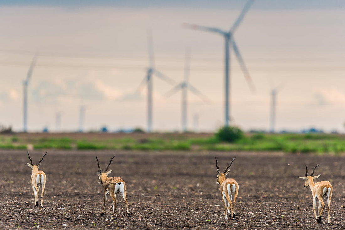 60 MW Wind Power Project in Karnataka, India