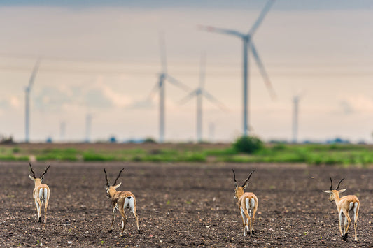 60 MW Wind Power Project in Karnataka, India