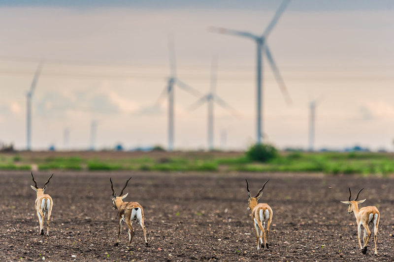 60 MW Wind Power Project in Karnataka, India