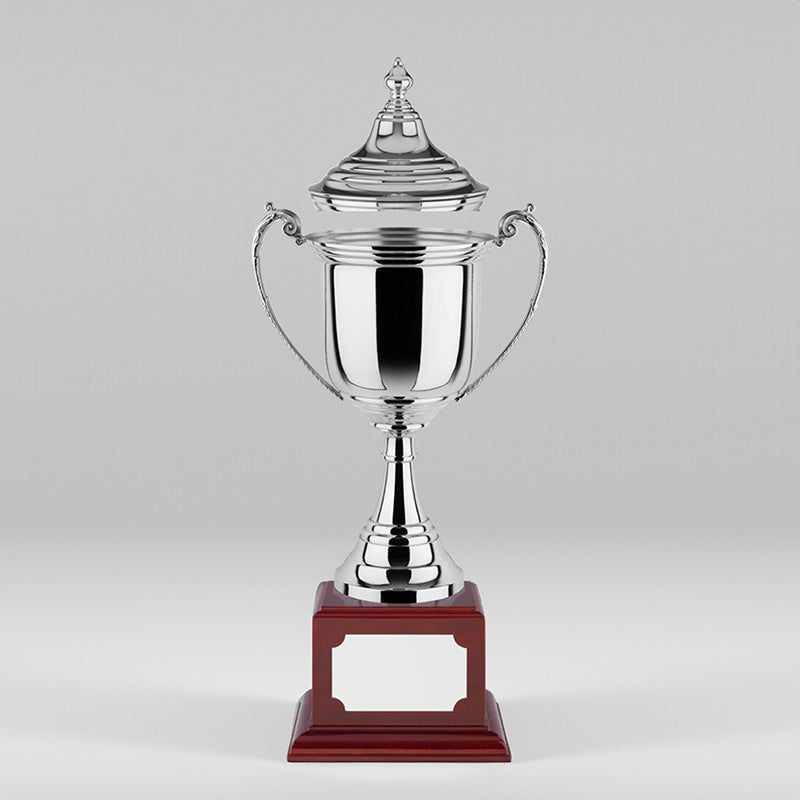 Revolution Cup