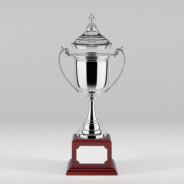 Revolution Cup