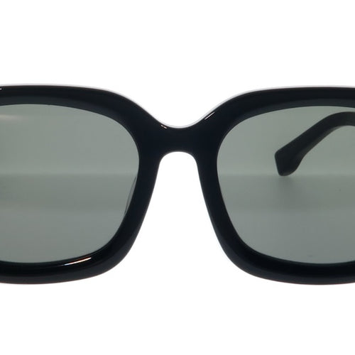 BIG HORN Classic Wayfarer Sunglasses