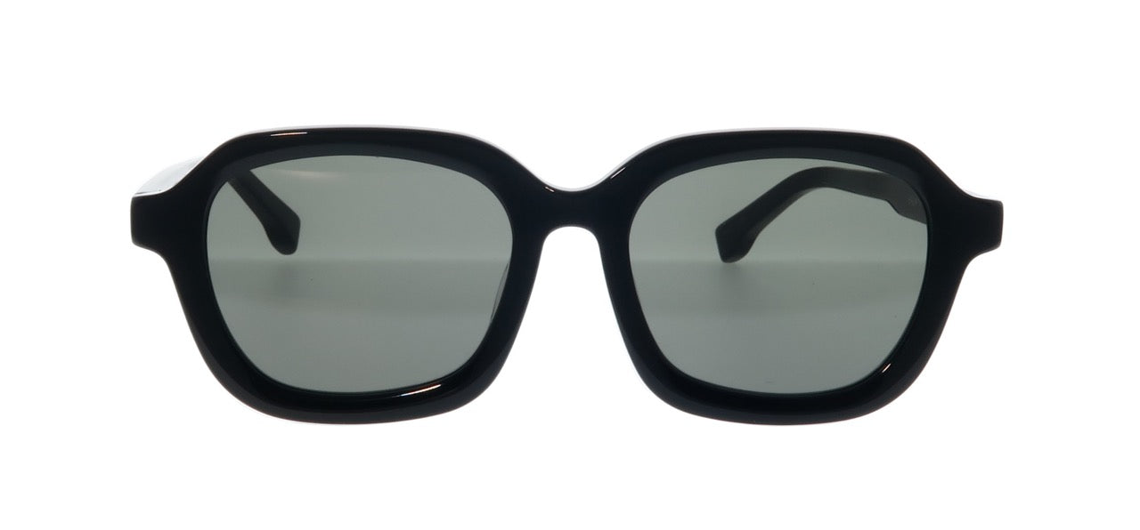 BIG HORN Classic Wayfarer Sunglasses