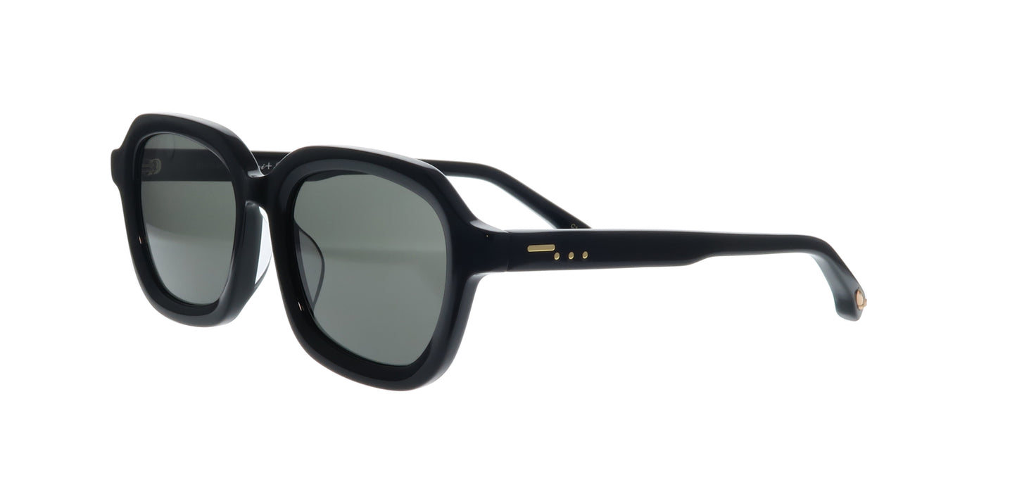 BIG HORN Classic Wayfarer Sunglasses