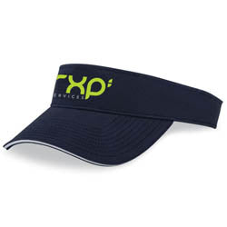 Sun Visor