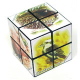 Rubiks Cube 2 x 2