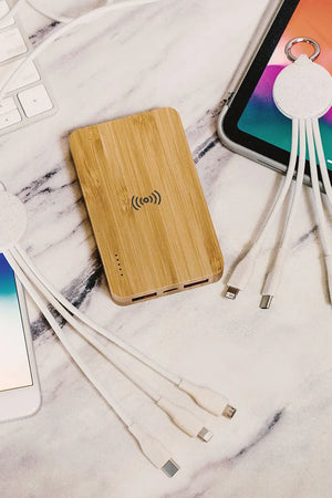 Eco Degradable Key Charging Cable